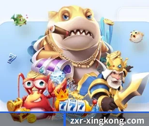 zxr-xingkong.com的故事 - 体育资讯内容服务