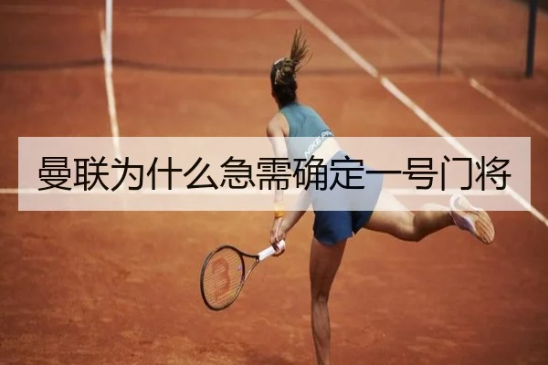 曼联为什么急需确定一号门将