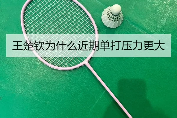 王楚钦为什么近期单打压力更大